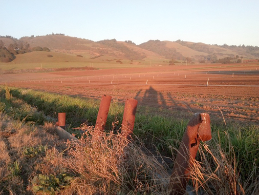 fieldmtn.jpg
