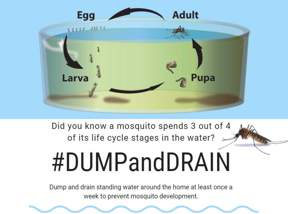 mosquito abatement