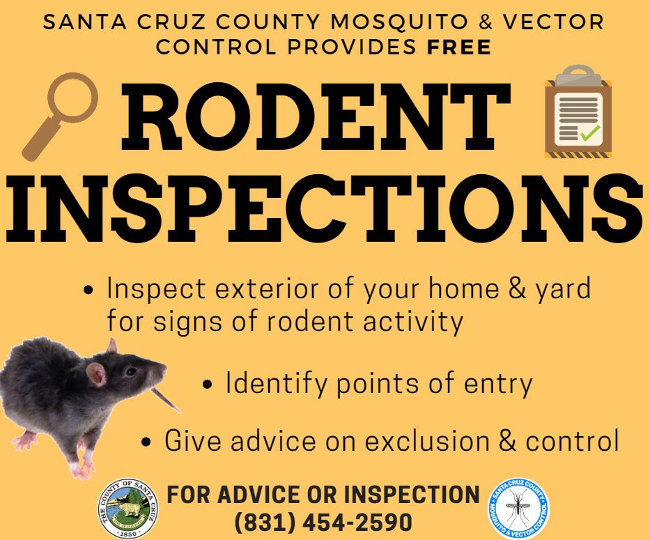 Rodents &amp; Urban Wildlife